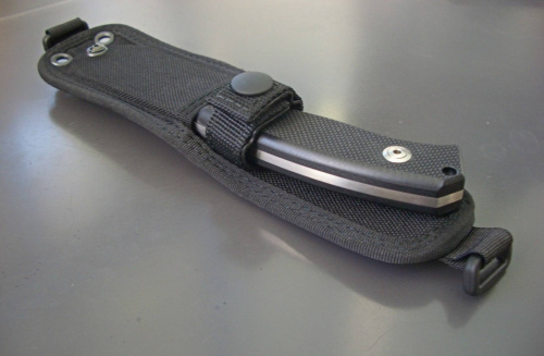 236 Lion Steel Нож с фиксированным клинком LionSteel M2 G10 фото 8