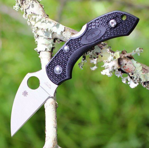 Складной нож Spyderco Dragonfly 2 Wharncliffe C28FPWCBK2 фото 2 Складной нож Spyderco Dragonfly 2 Wharncliffe C28FPWCBK2 фото 2