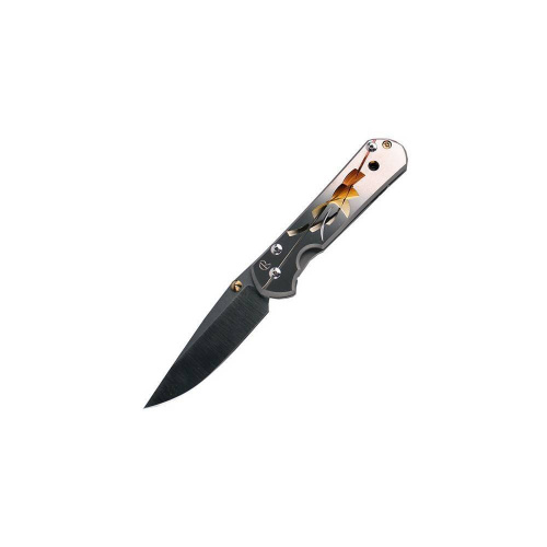 Складной нож Chris Reeve Large Sebenza 21 Unique Graphics фото 6