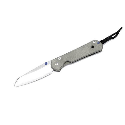 Складной нож Chris Reeve Large Sebenza 21 Insingo фото 3 Складной нож Chris Reeve Large Sebenza 21 Insingo фото 3